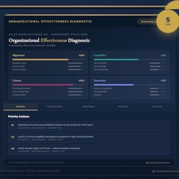 Organizational Effectiveness Diagnostic preview
