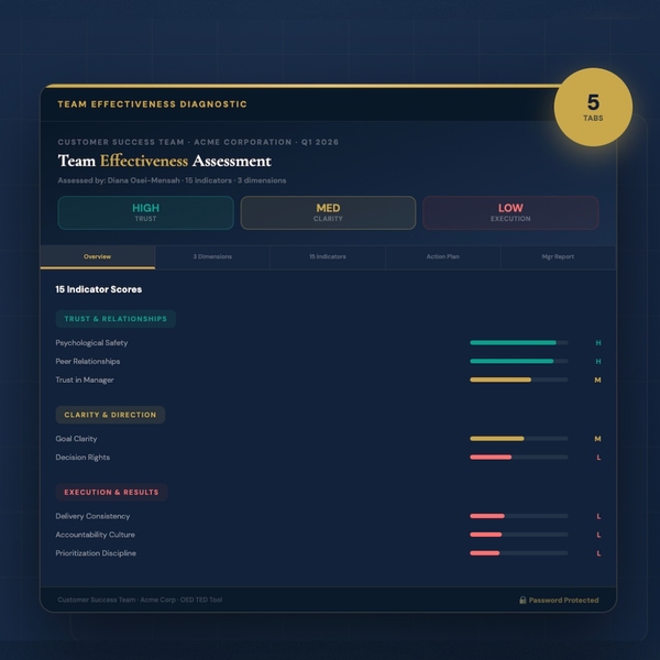 Team Effectiveness Diagnostic preview