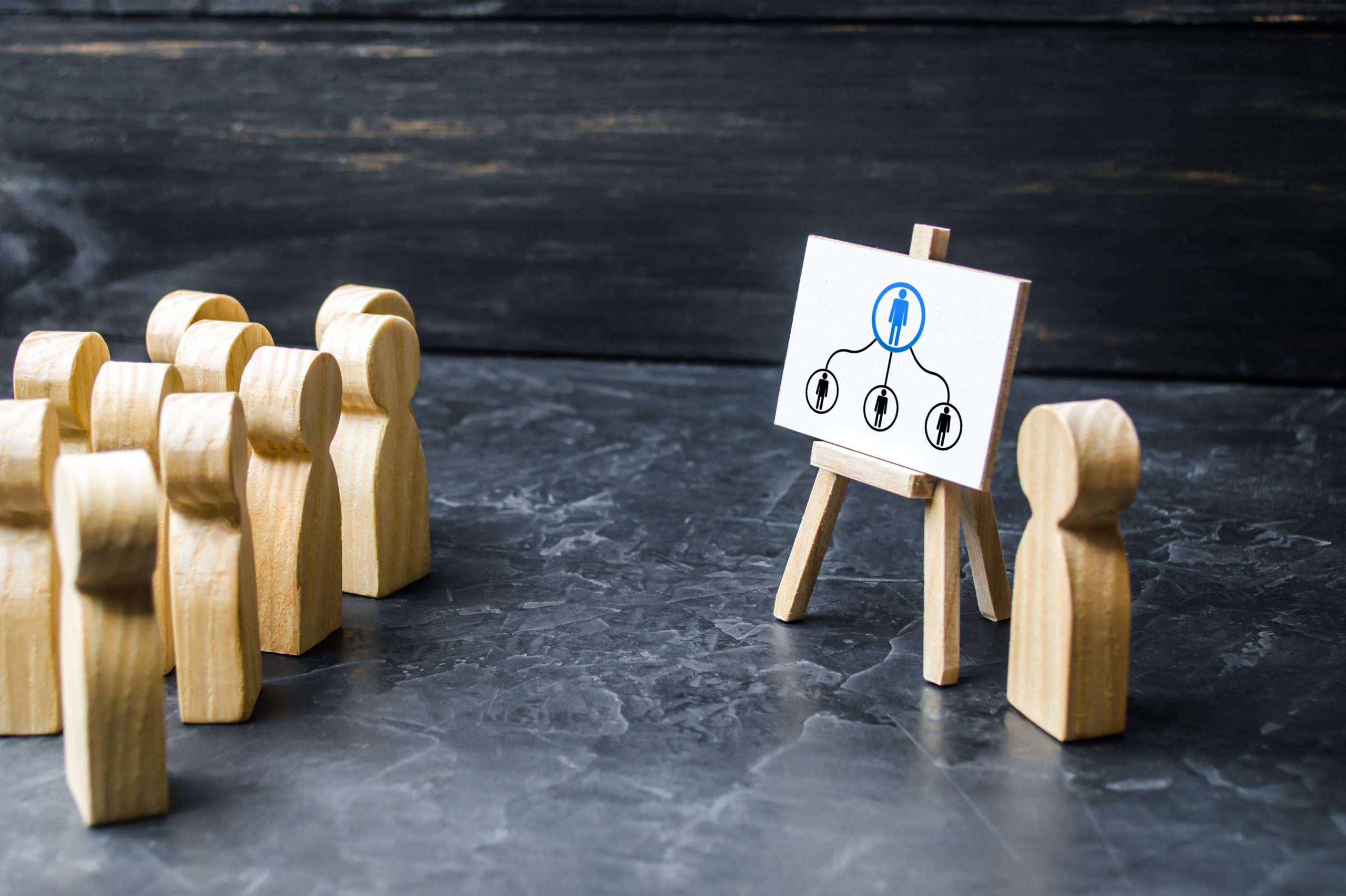 Organizational and Team Dynamics